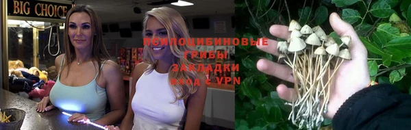 спайс Беломорск