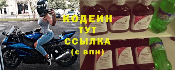 сатива Богородицк